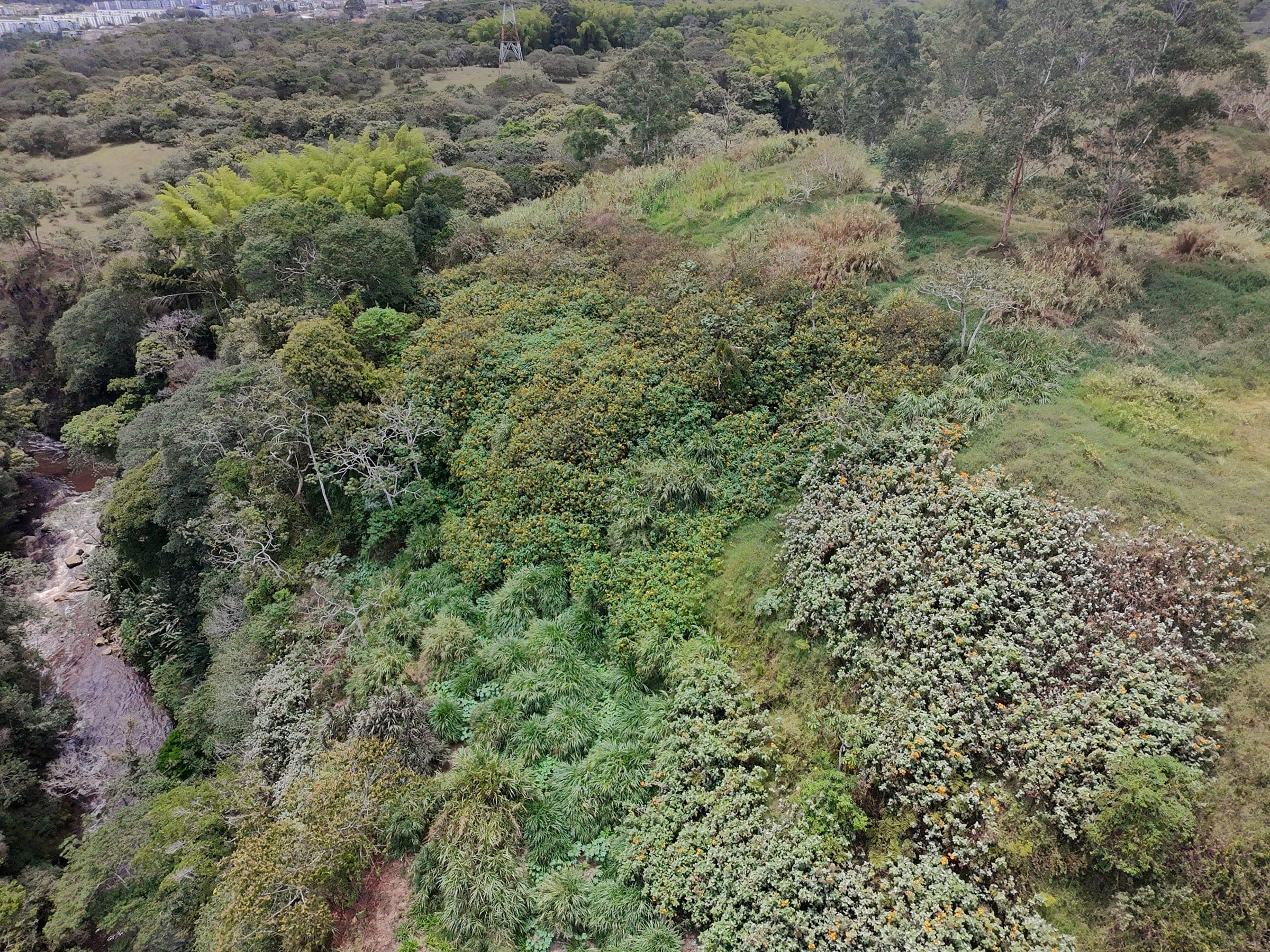 Recursos Naturales, Suelos y Semovientes